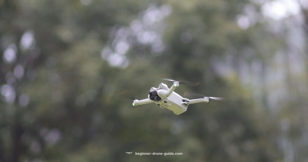 Payload Basics - Beginner Drone Guide