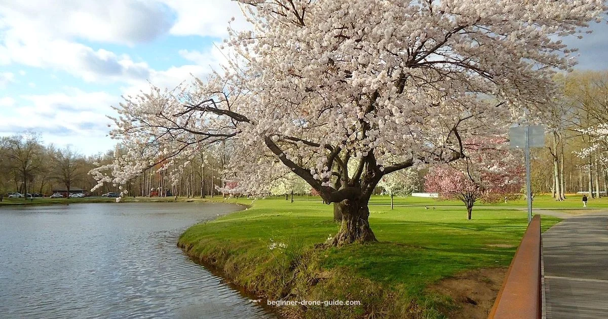 NJ Drone Flying Guide - Beginner Drone Guide