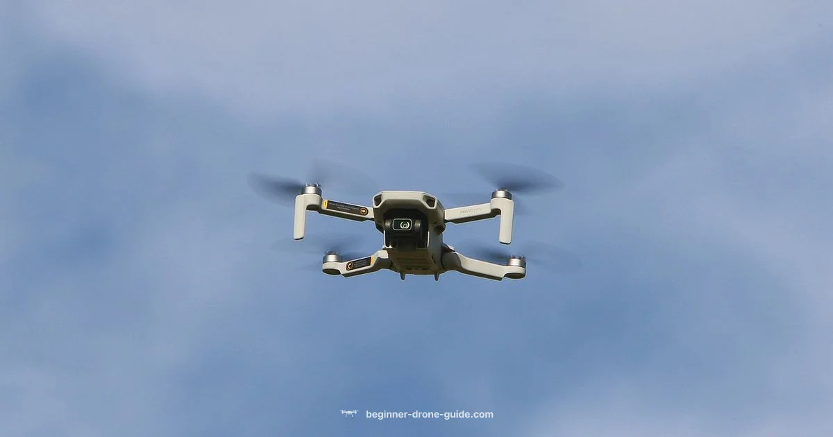 Best Drone Brand Camera - Beginner Drone Guide