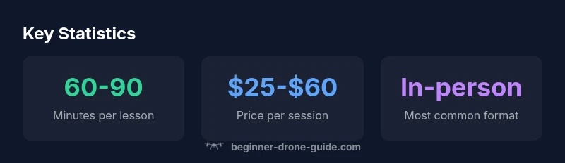 Infographic showing statistics about drone lessons near me