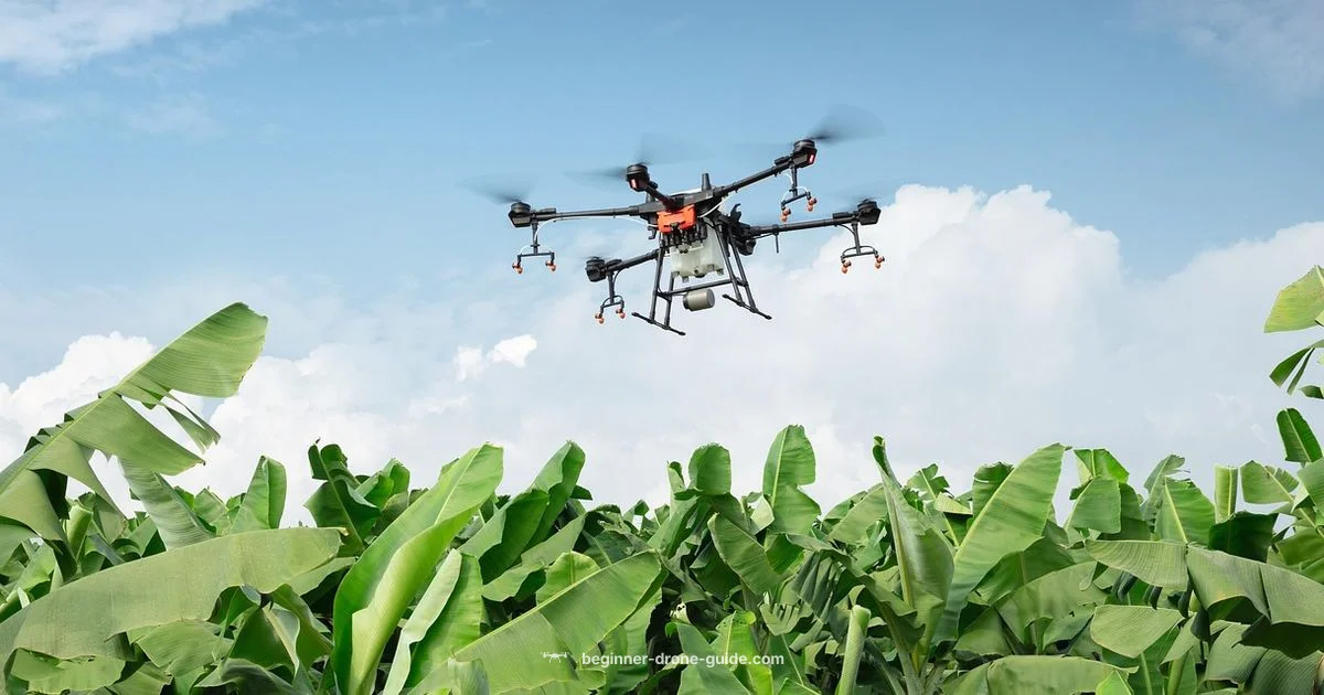 Track a Stolen Drone - Beginner Drone Guide