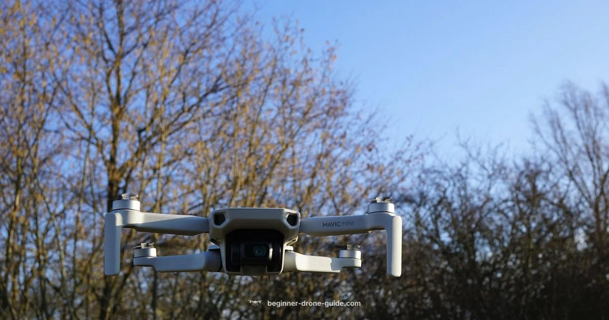 Mavic 3 Overview - Beginner Drone Guide