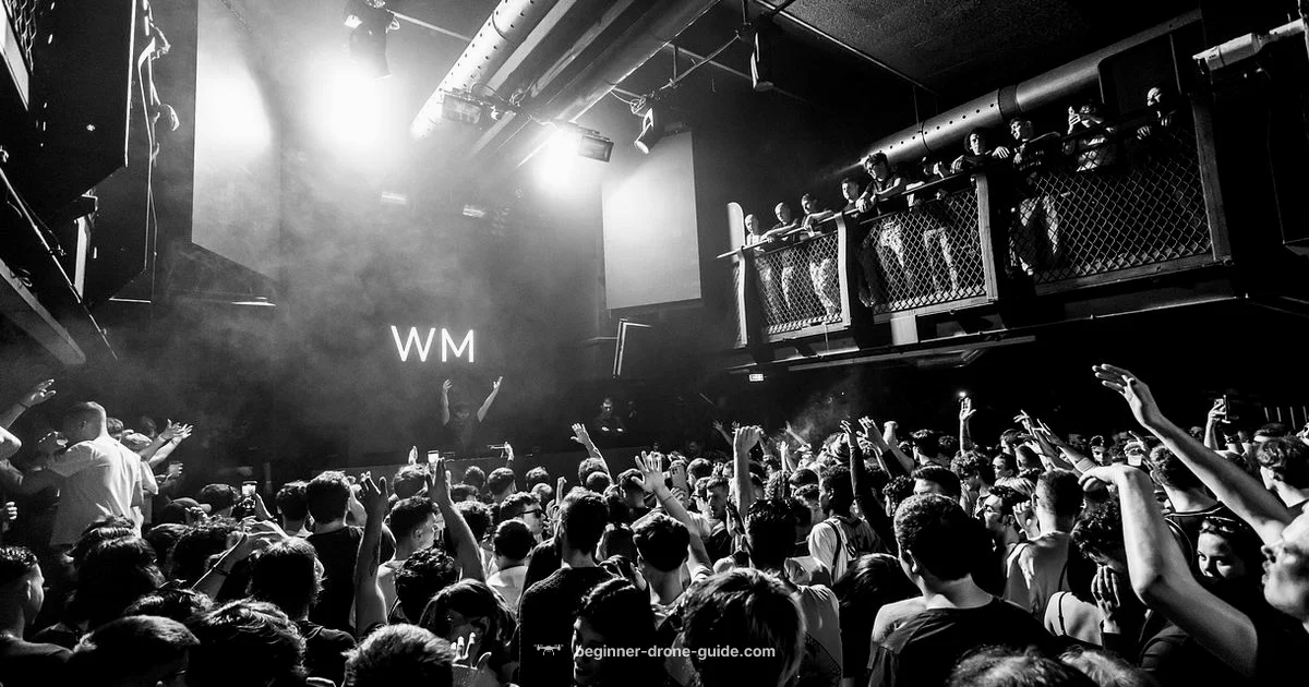 Drone Show Costs Drone Show Costs - Beginner Drone Guide