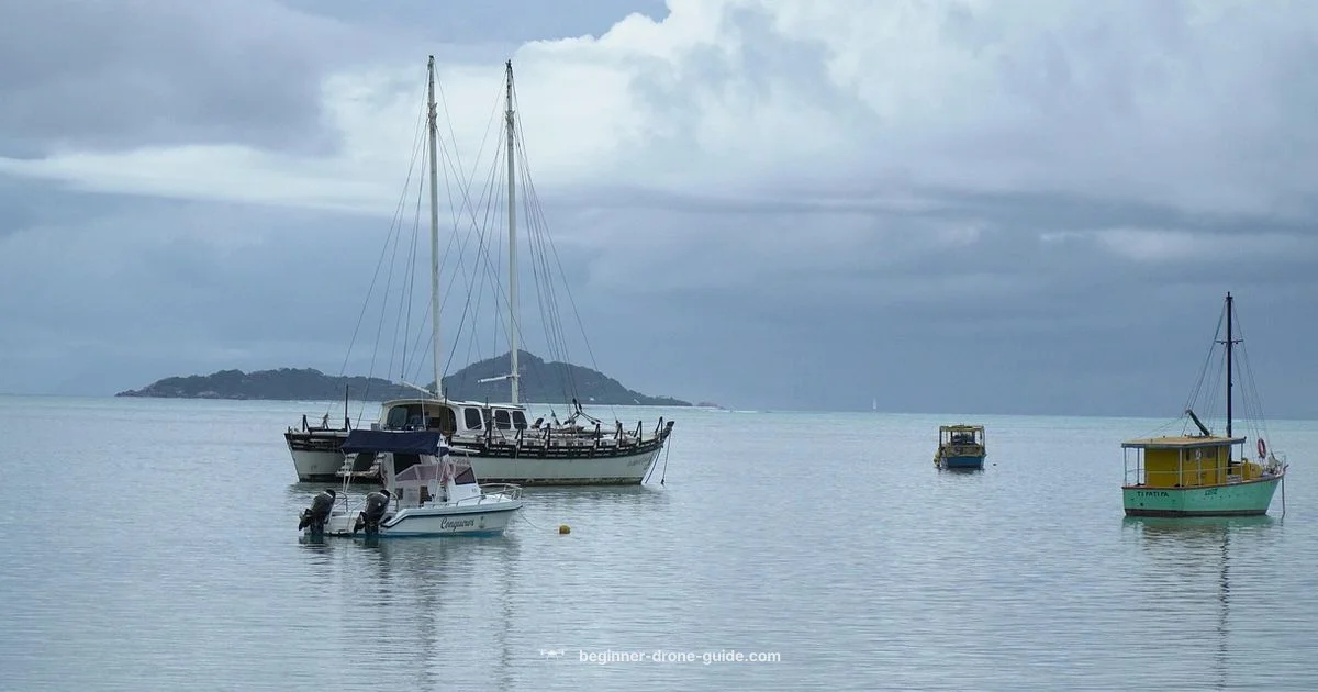 Drone and Boat Guide - Beginner Drone Guide