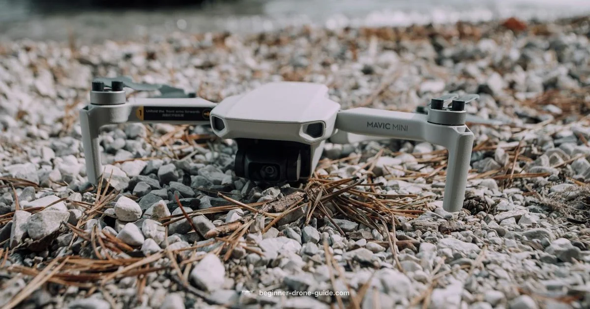 Mavic Mini Guide - Beginner Drone Guide