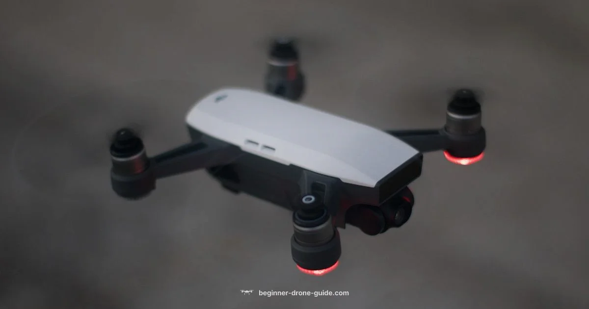 DJI Drones USA DJI Drones USA - Beginner Drone Guide