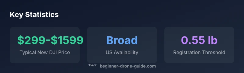 Infographic showing DJI US buying statistics