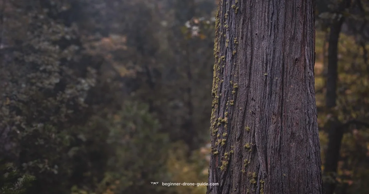 National Forest Drone Rules National Forest Drone Rules - Beginner Drone Guide