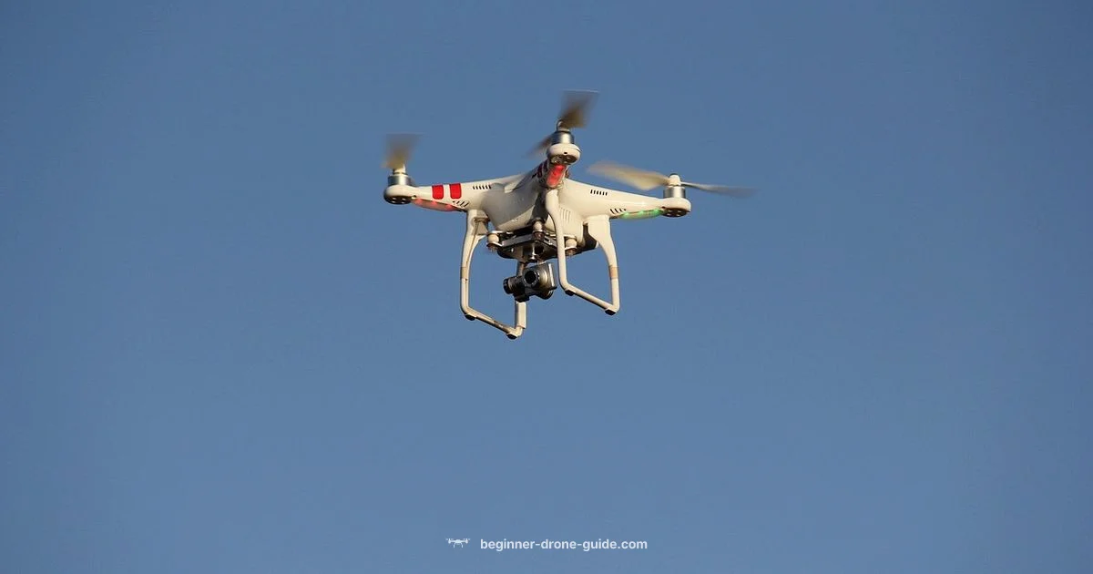 Drone in Ghost Recon - Beginner Drone Guide