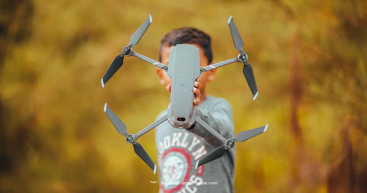 Safe Skies for Beginners - Beginner Drone Guide