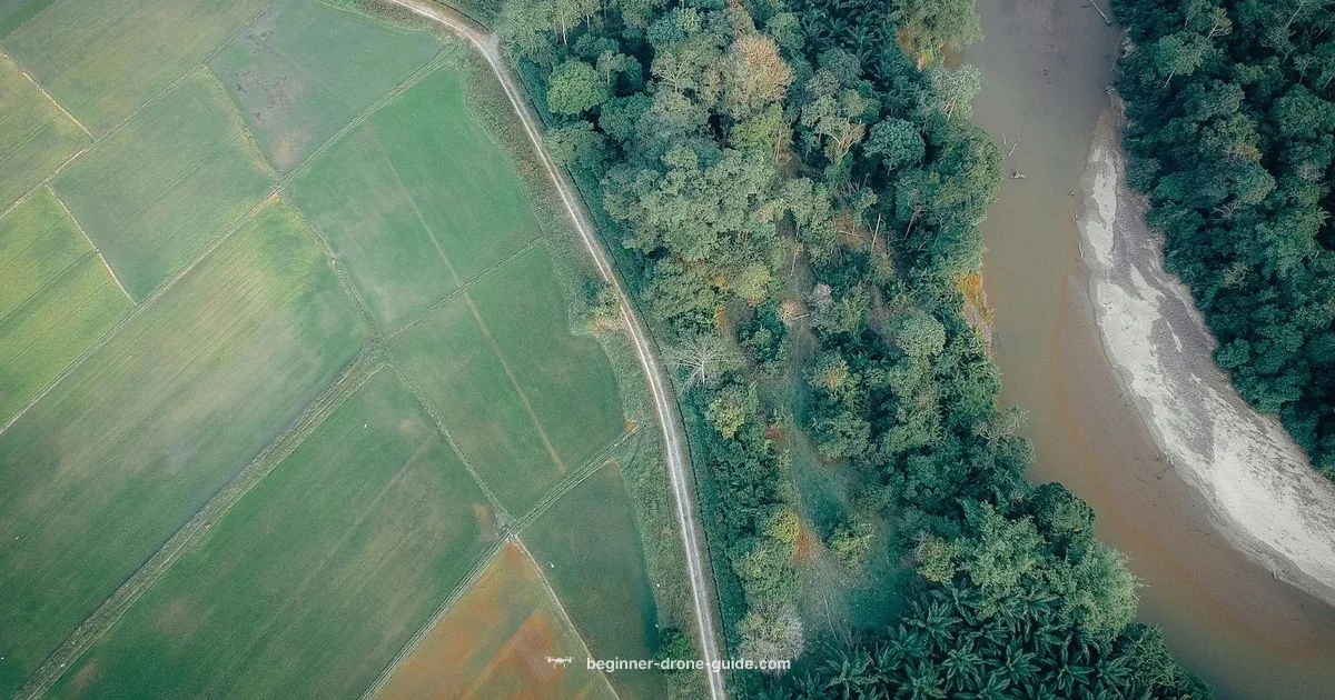 Four Drone Types Four Drone Types - Beginner Drone Guide