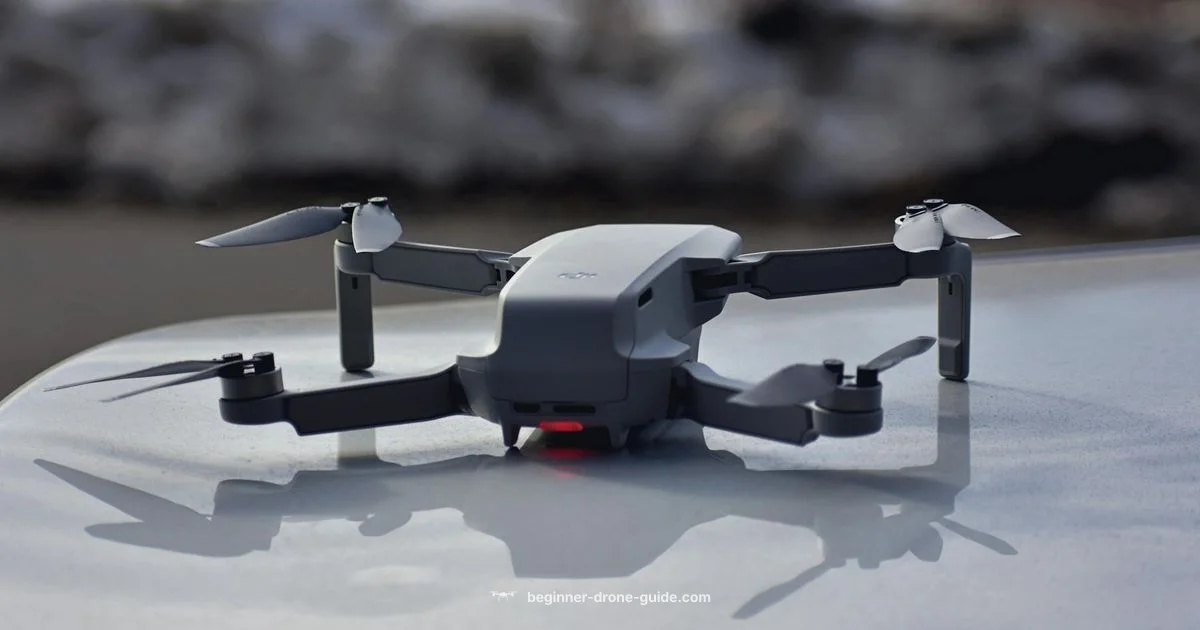 Lightweight Drone Guide - Beginner Drone Guide