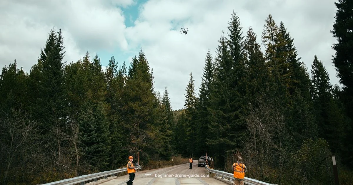 Drone Photographer Pay - Beginner Drone Guide