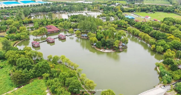 Where to Buy DJI Drone - Beginner Drone Guide