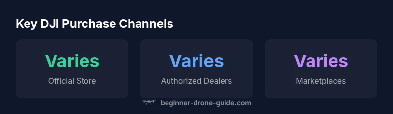 Infographic showing DJI purchase channels