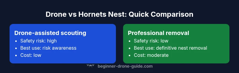 Infographic comparing drone scouting vs professional hornet nest removal