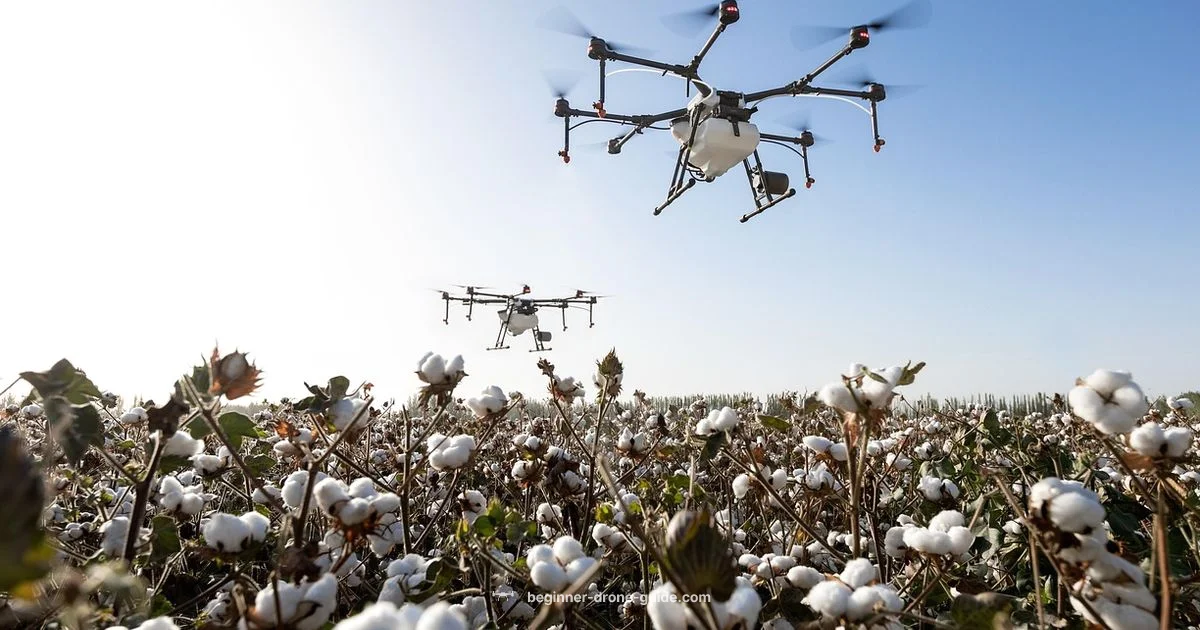 Are Drones Popular - Beginner Drone Guide