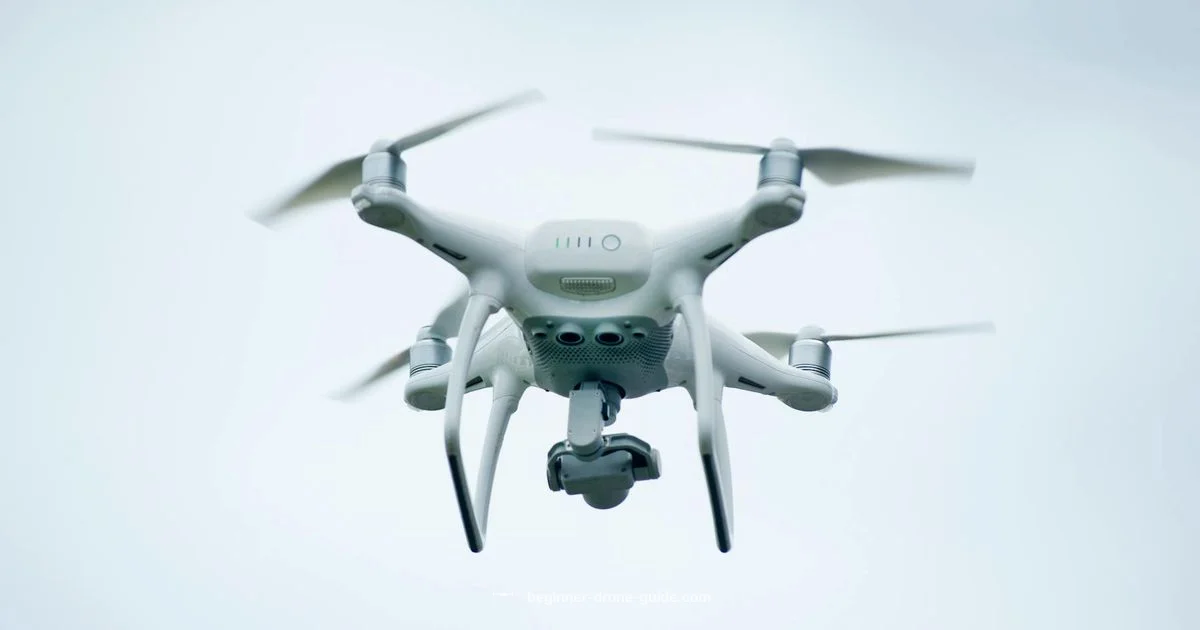 Pilot Drone Setup - Beginner Drone Guide