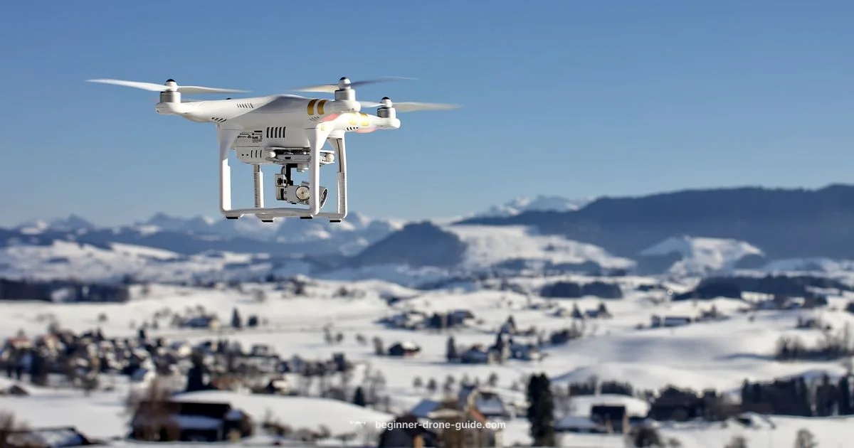 Beginner Drone Guide