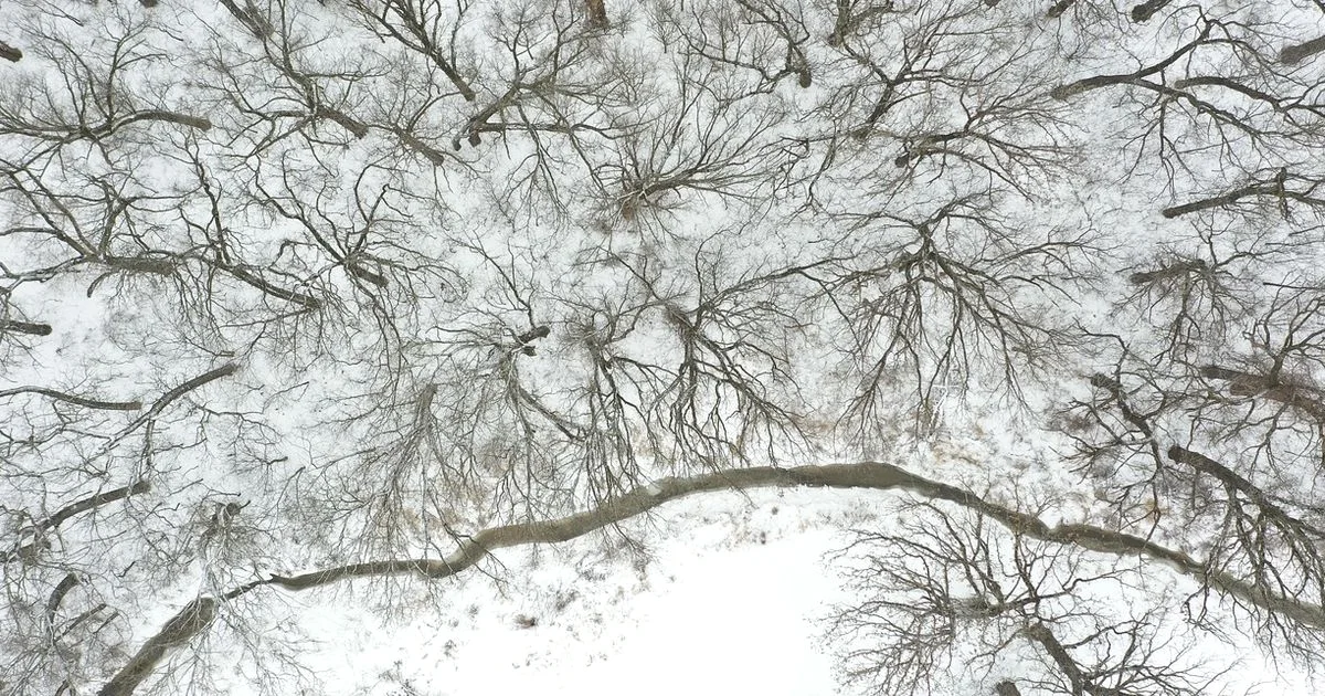 Snowy Drone Flight - Beginner Drone Guide