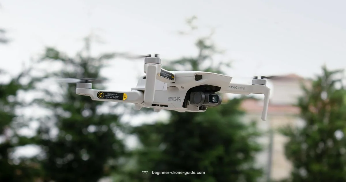 Budget Drones Guide - Beginner Drone Guide