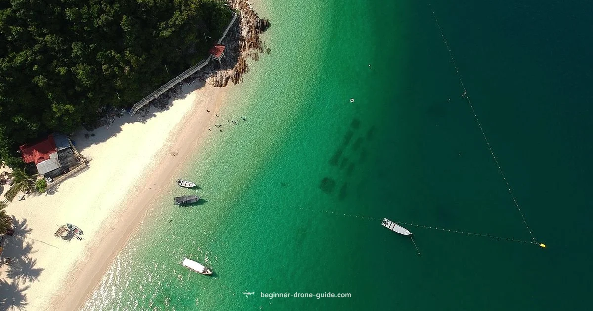 Best Drones 2026 - Beginner Drone Guide