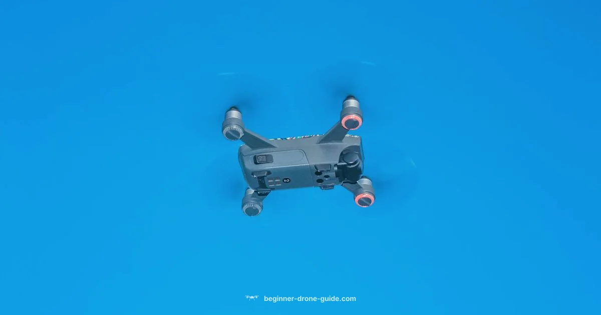 DJI FPV System - Beginner Drone Guide
