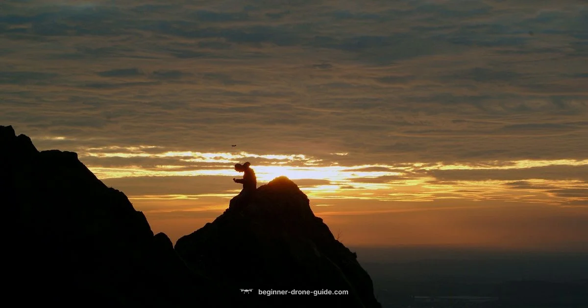 Military Drone Cost Military Drone Cost - Beginner Drone Guide