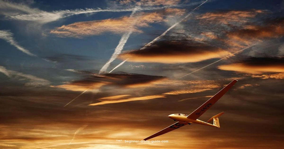 Top Picks for Beginners - Beginner Drone Guide