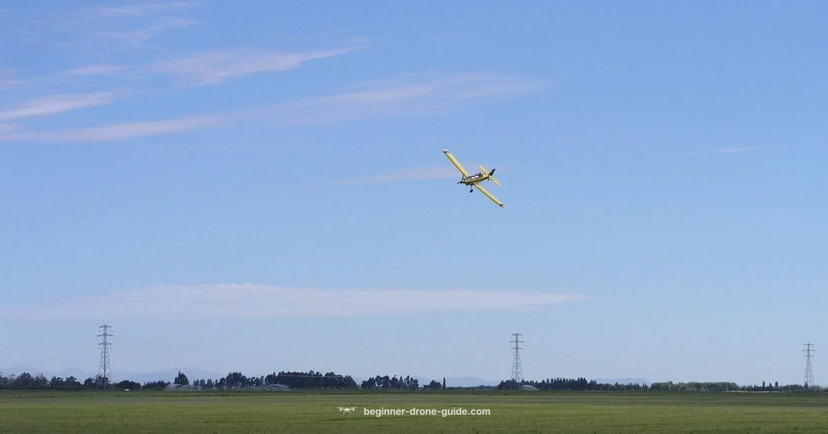 Agras T40 Review - Beginner Drone Guide