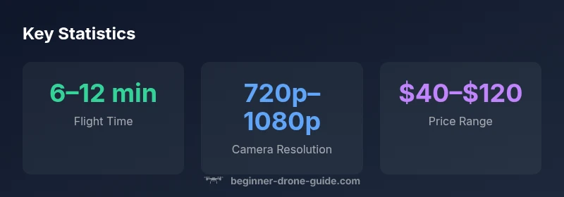 Stats infographic showing flight time, camera resolution, and price range for budget drones like the E88