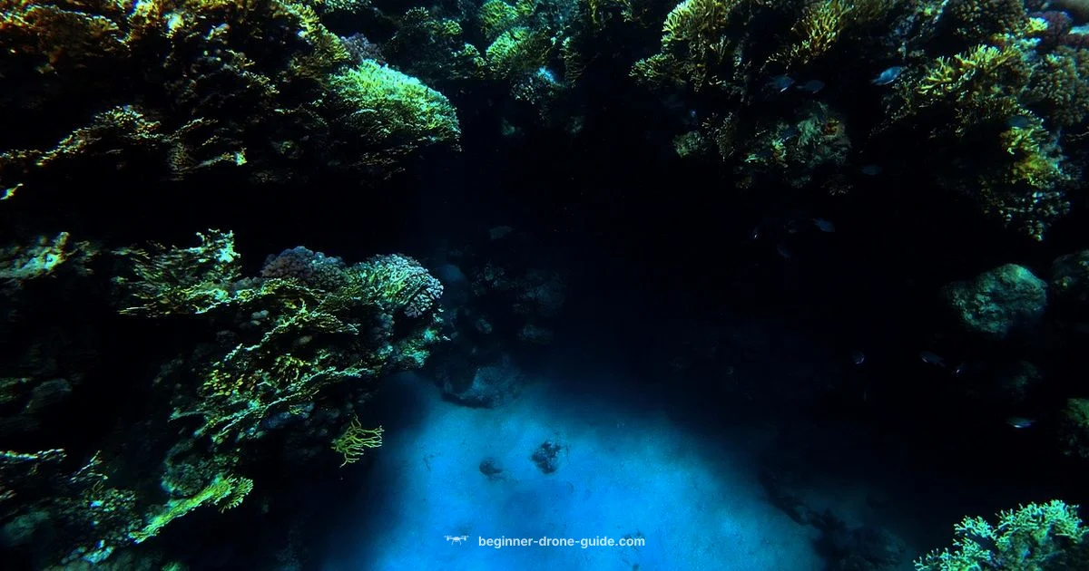 Underwater Drones Guide - Beginner Drone Guide