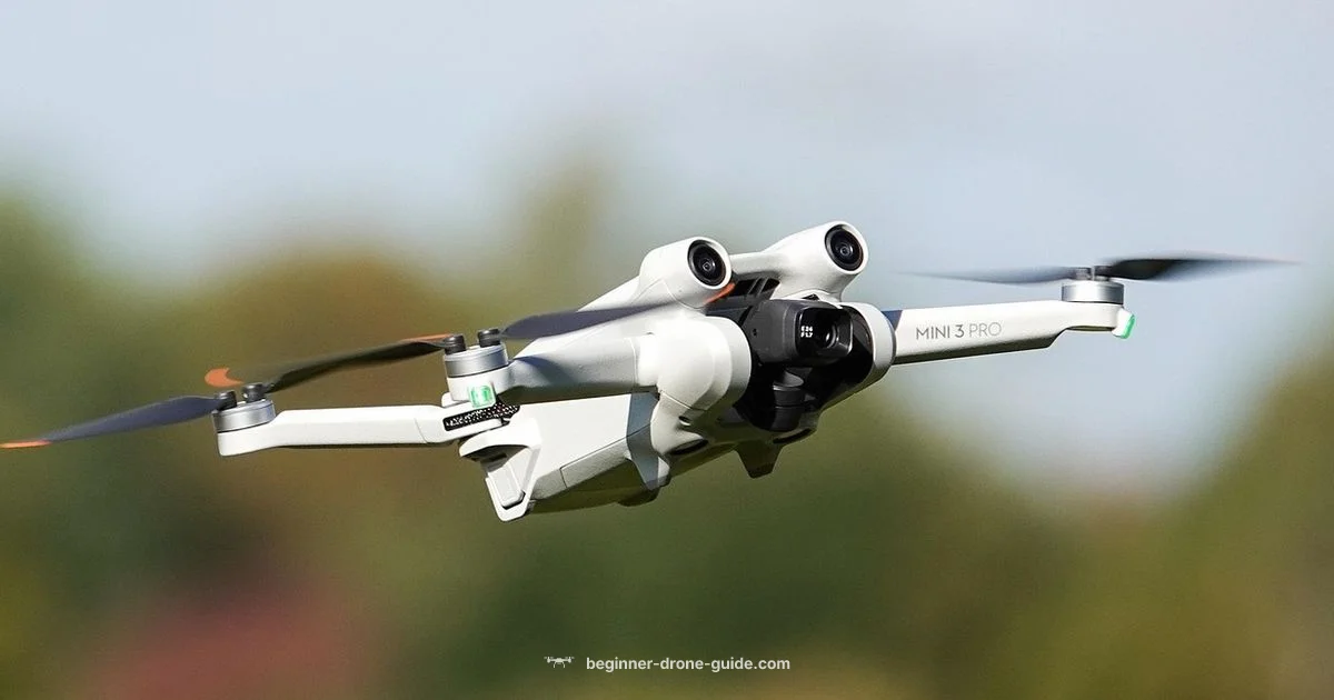 Drone Benefits - Beginner Drone Guide