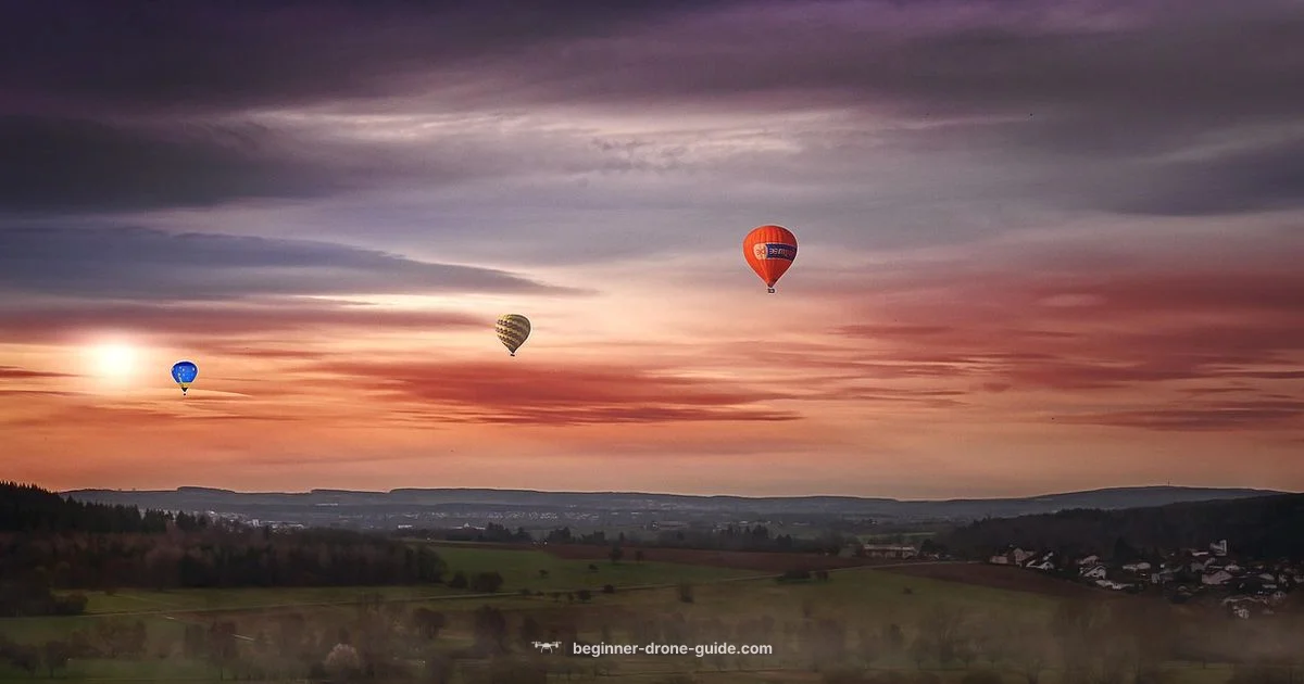 Safe Skies, Smart Flights - Beginner Drone Guide