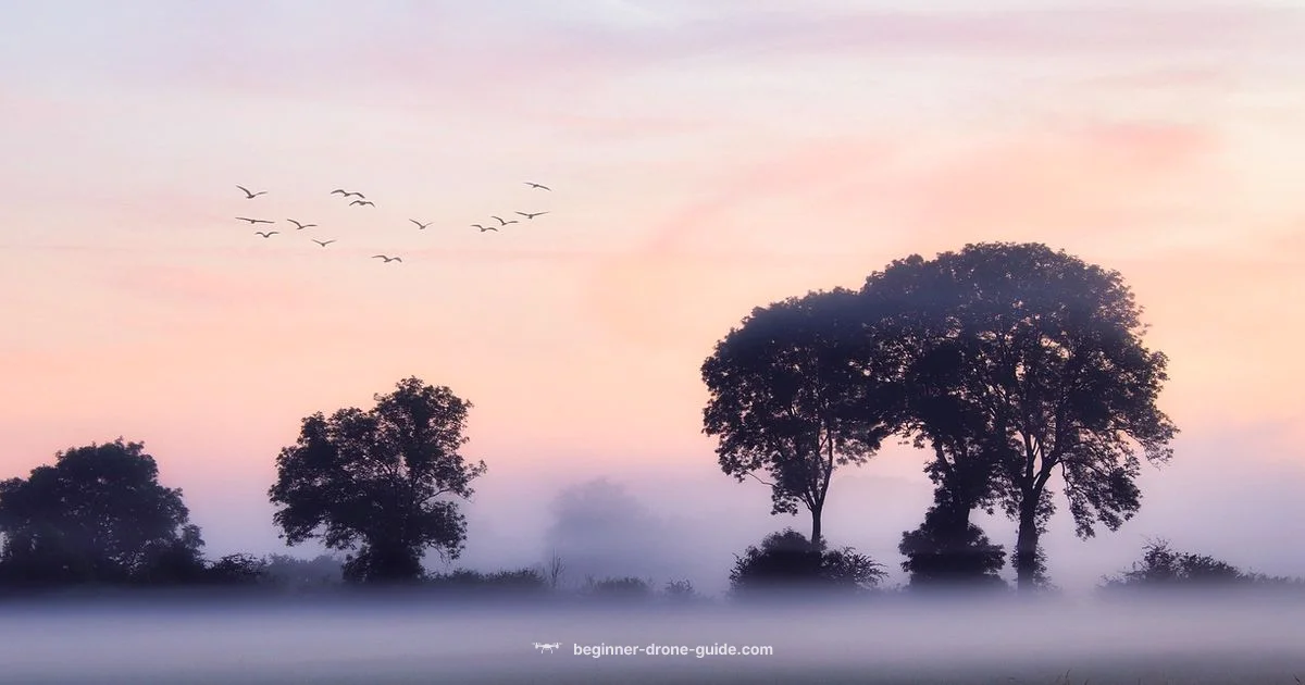 Foggy Drone Flight Foggy Drone Flight - Beginner Drone Guide