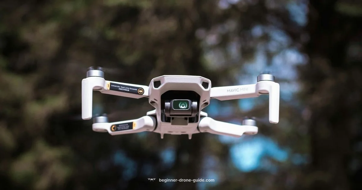 Drone Tech Essentials - Beginner Drone Guide