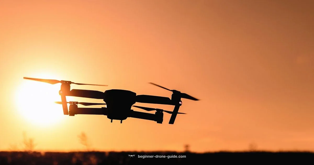 Drone Camera Setup - Beginner Drone Guide