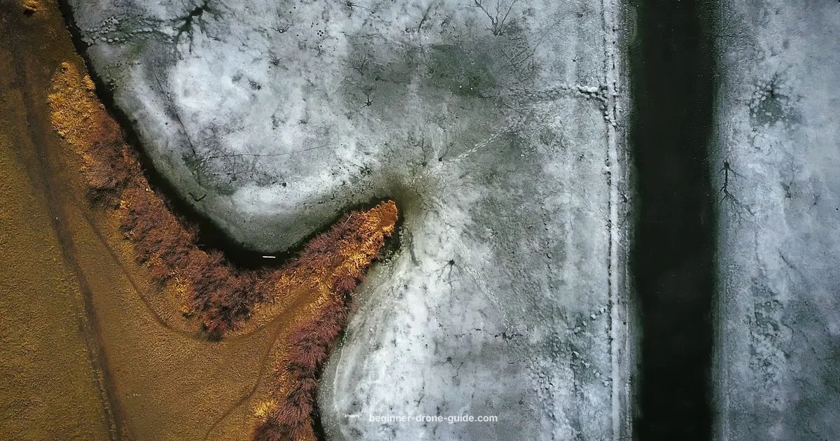 Thermal Drone Price Guide - Beginner Drone Guide