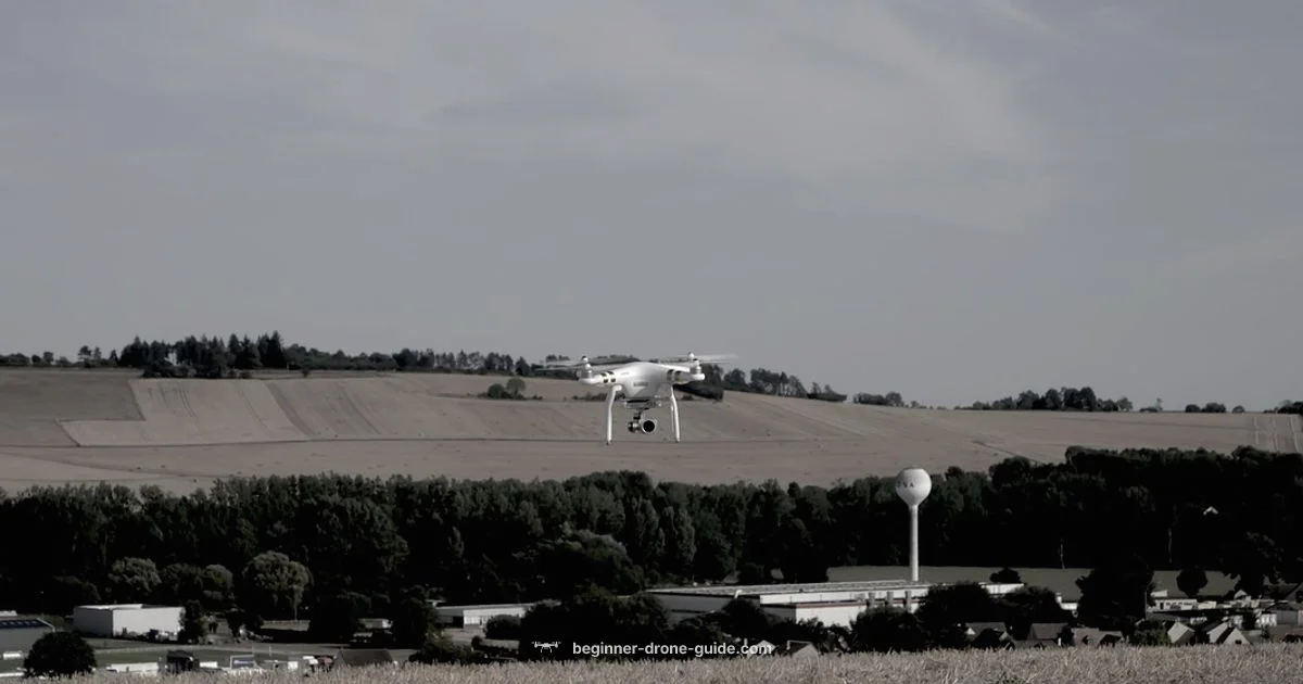 Drones in Use Drones in Use - Beginner Drone Guide