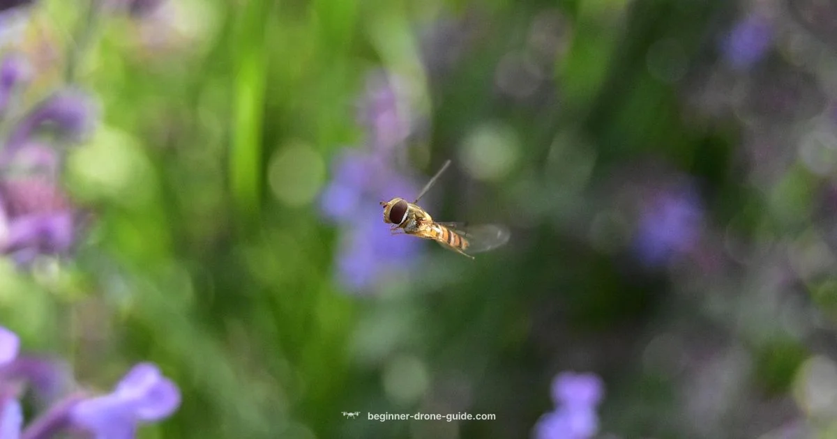 Hover x1 Guide - Beginner Drone Guide