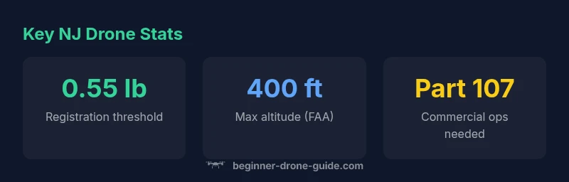 infographic showing NJ drone rules and steps
