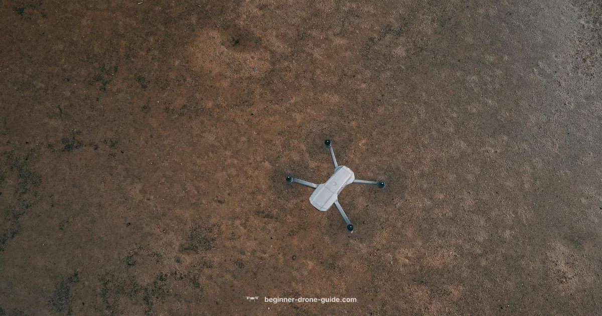 Payload Drones 101 - Beginner Drone Guide