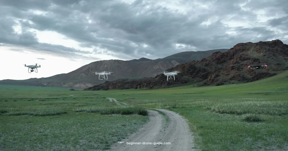 Roll Drone Use - Beginner Drone Guide