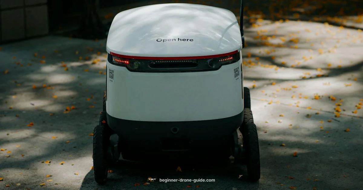 Delivery by Drone - Beginner Drone Guide