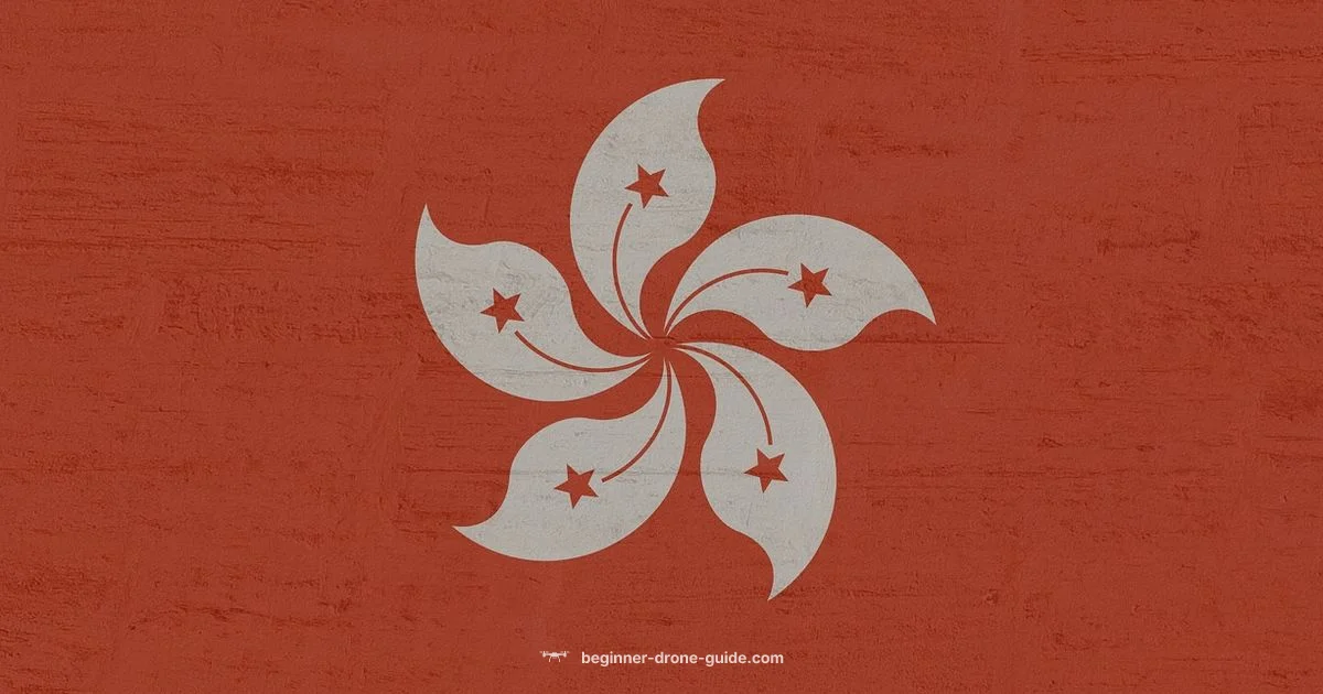 Where to Buy Drones Where to Buy Drones - Beginner Drone Guide