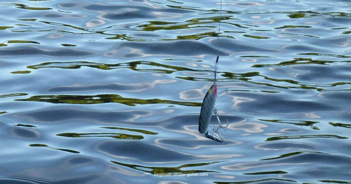 Bait Drone Guide - Beginner Drone Guide