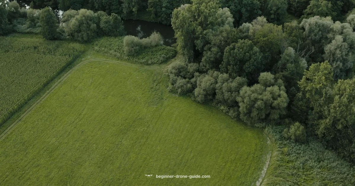 FPV for Beginners - Beginner Drone Guide