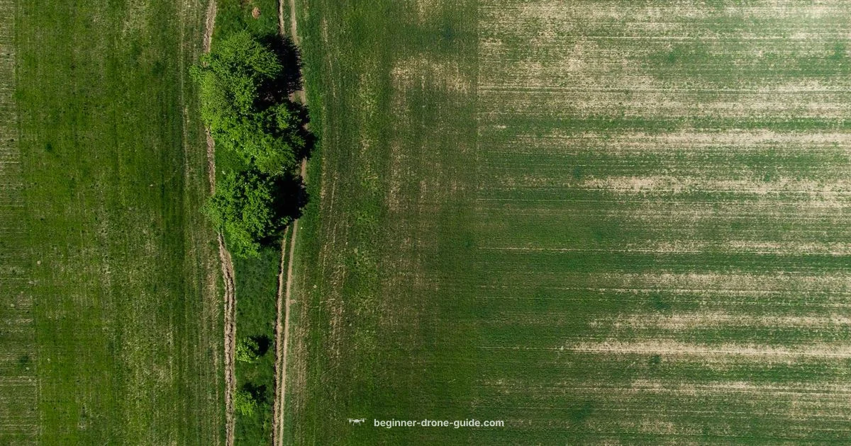 Beginner Drone Guide Picks