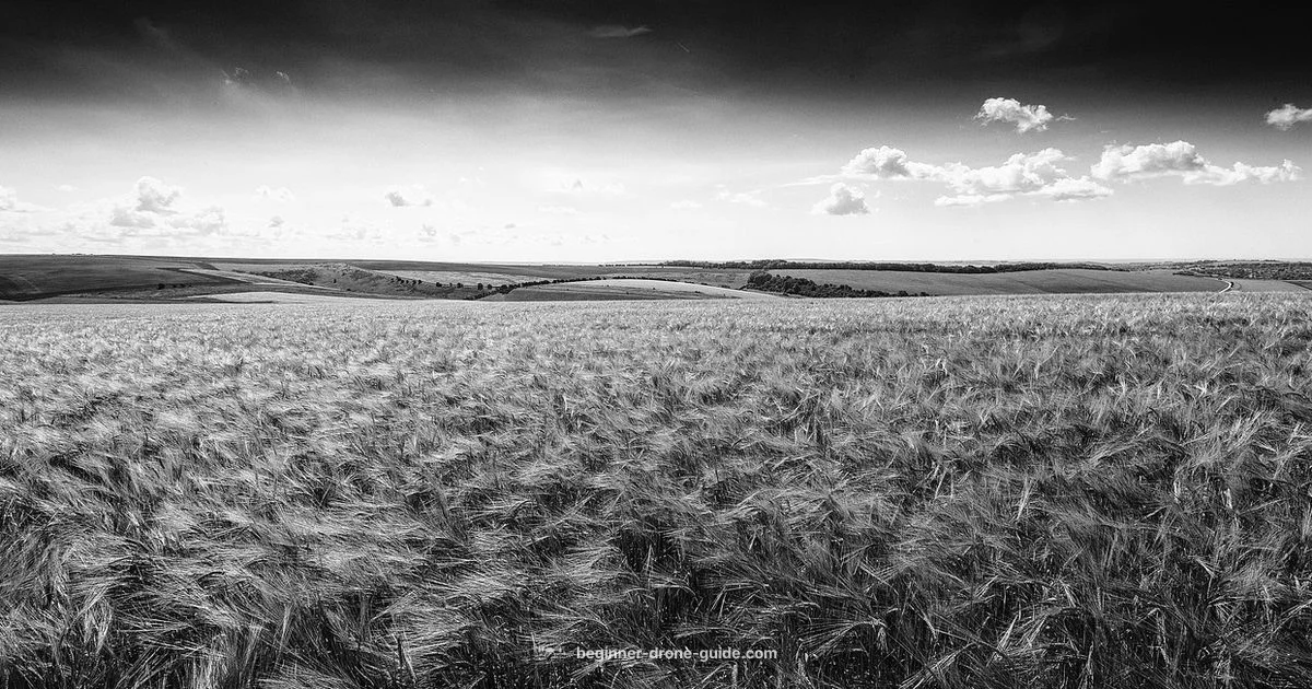 Flying Camera Guide - Beginner Drone Guide