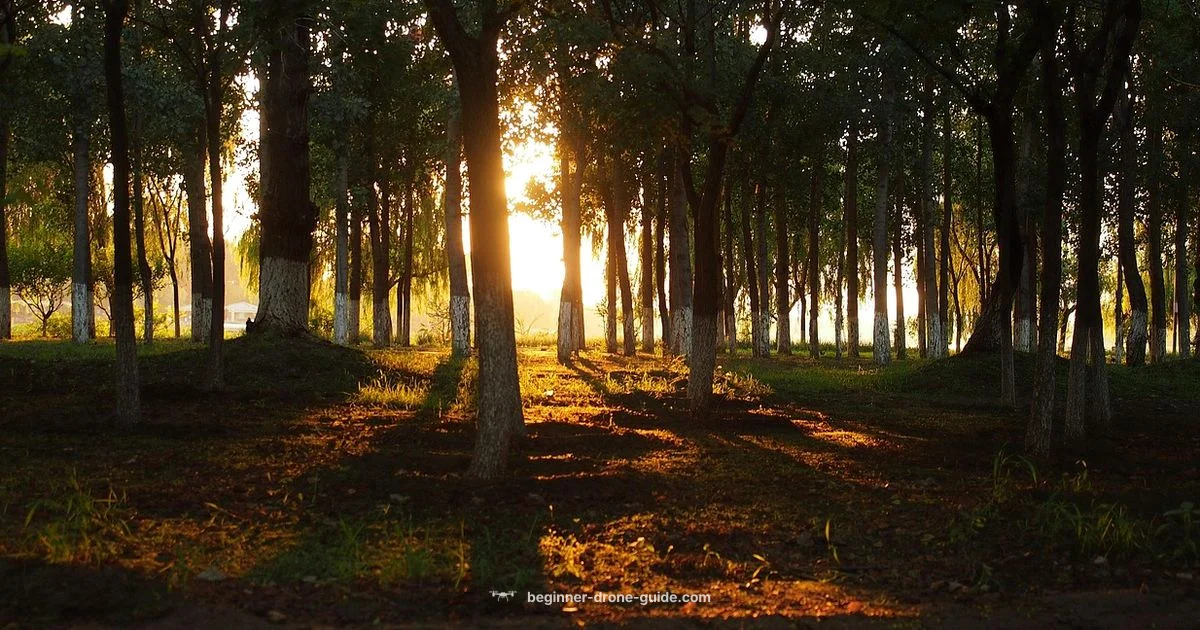 Thermal Hunter Drone - Beginner Drone Guide